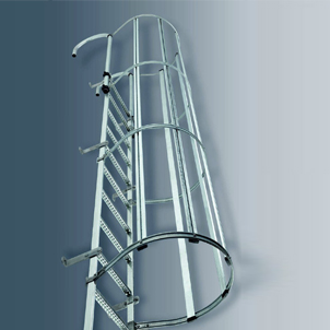 Cage Ladder